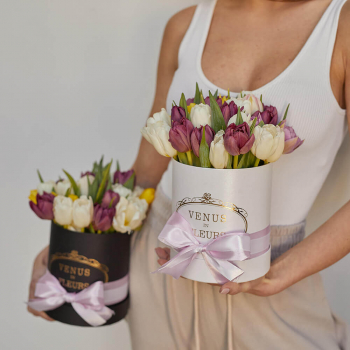 29 тюльпанов в коробке 29 тюльпанов в коробке