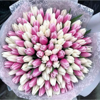 101 нежно-розовый тюльпан в букете 101 нежно-розовый тюльпан в букете