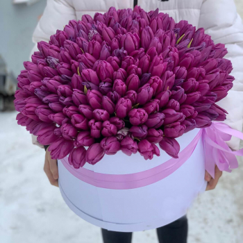 201 фиолетовый тюльпан в коробке 201 фиолетовый тюльпан в коробке