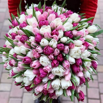 151 пионовидный микс в букете 151 пионовидный микс в букете