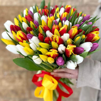 Разноцветные тюльпаны - 101 шт. Разноцветные тюльпаны - 101 шт.