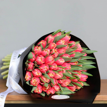 51 коралловый тюльпан в букете 51 коралловый тюльпан в букете