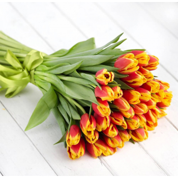 51 красно-желтый тюльпан в букете