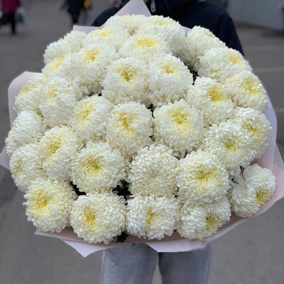29 белых крупных хризантем
