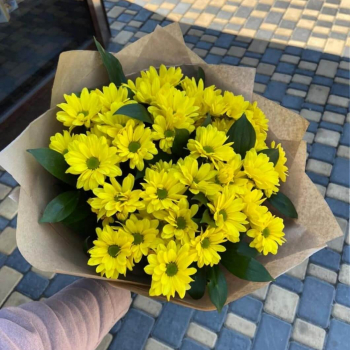 9 желтых кустовых хризантем в букете 9 желтых кустовых хризантем в букете