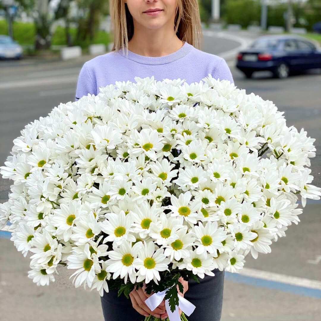 101 белая кустовая ромашковая хризантема в букете