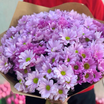 29 кустовых хризантем в букете 29 кустовых хризантем в букете