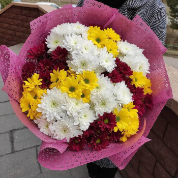19 разноцветных хризантем в букете