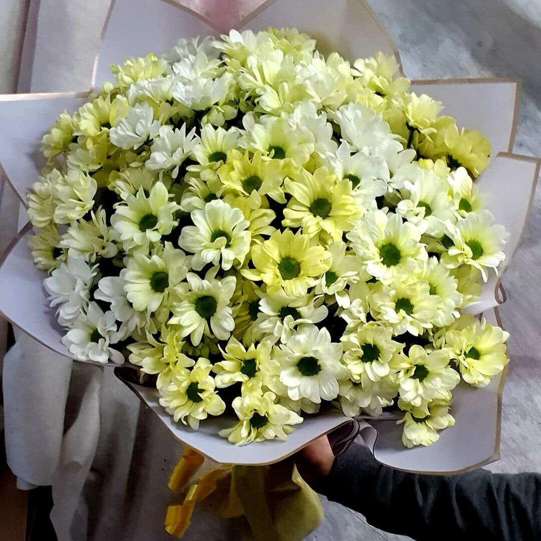 41 зеленая ромашковая кустовая хризантема в букете