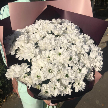 19 кустовых белых хризантем в букете