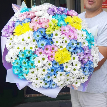 51 бело-голубая хризантема в букете 51 бело-голубая хризантема в букете