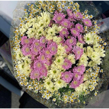 Кустовые хризантемы с ромашками - 45 шт.