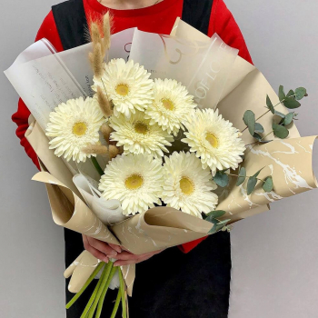 9 белых гербер