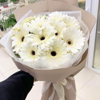 19 белых гербер в букете 19 белых гербер в букете