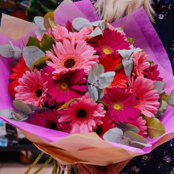 Микс розовых гербер в букете Микс розовых гербер в букете