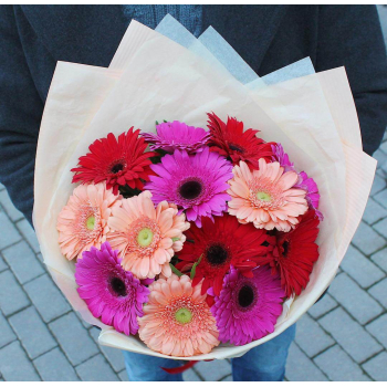 Микс из 19 гербер