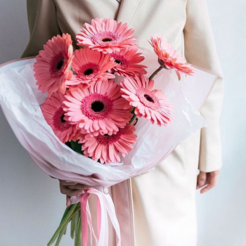 19 коралловых гербер в букете 19 коралловых гербер в букете