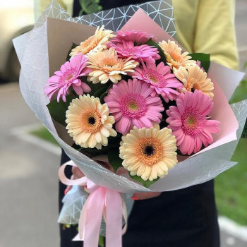 19 розово-кремовых гербер в букете