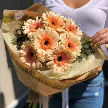 9 оранжевых гербер в букете