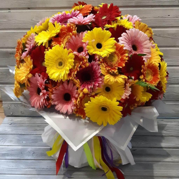 Микс из гербер - 101 шт. Микс из гербер - 101 шт.