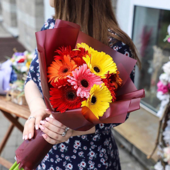 9 разноцветных гербер 9 разноцветных гербер