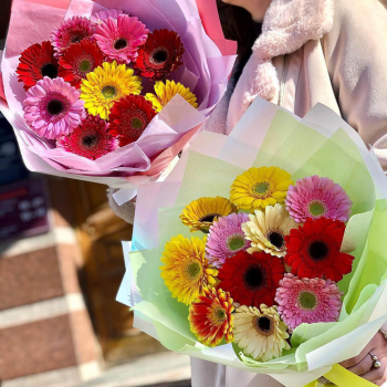 9 гербер коллегам от 5 букетов