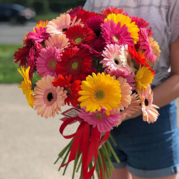 Красочный букет из 29 гербер Красочный букет из 29 гербер