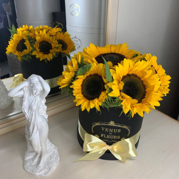 9 подсолнухов в коробке 9 подсолнухов в коробке