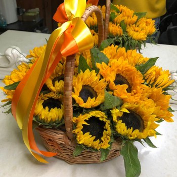 19 подсолнухов в корзине 19 подсолнухов в корзине