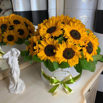 19 подсолнухов в коробке