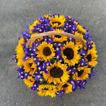 Подсолнухи с ирисами - 71 шт.