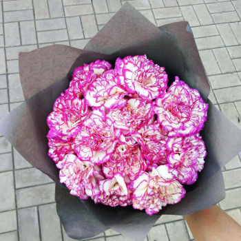 19 бело-розовых гвоздик в букете