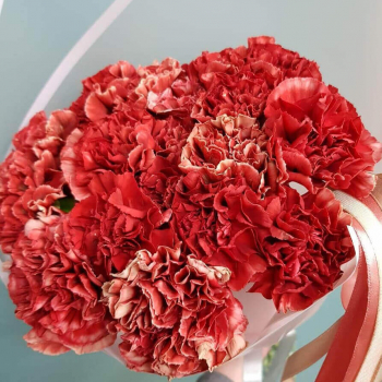 19 винных гвоздик в букете