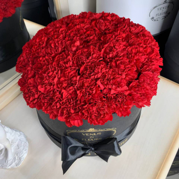 51 красная гвоздика в коробке 51 красная гвоздика в коробке