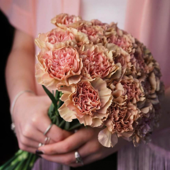 19 кофейных гвоздик 19 кофейных гвоздик