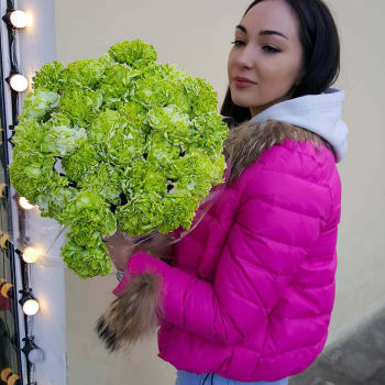 41 зеленая гвоздика в букете 41 зеленая гвоздика в букете