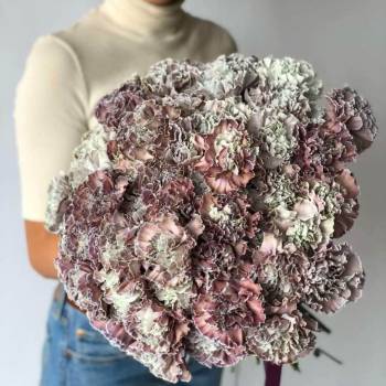 51 крашеная гвоздика в букете