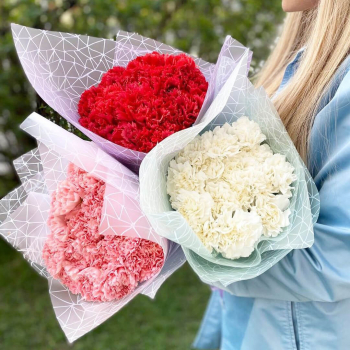 Гвоздики коллегам - 19 шт.