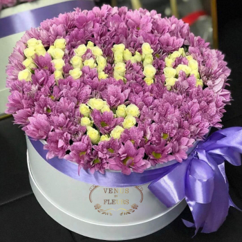 Кустовые хризантемы "мама" - 81 шт.