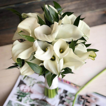 19 белых калл с листьями 19 белых калл с листьями