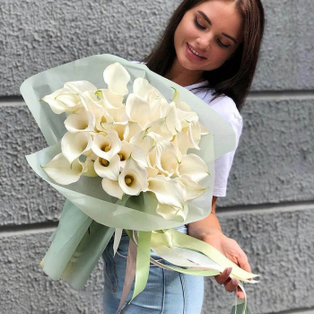 Букет из 29 белых калл Букет из 29 белых калл