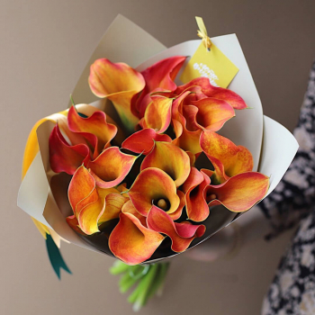 19 коралловых калл в букете 19 коралловых калл в букете