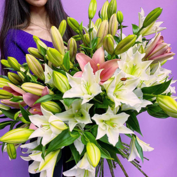 19 бело-розовых лилий в букете 19 бело-розовых лилий в букете