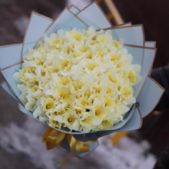 101 нарцисс в букете 101 нарцисс в букете