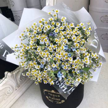 Микс с ромашками в букете - 25 шт. Микс с ромашками в букете - 25 шт.