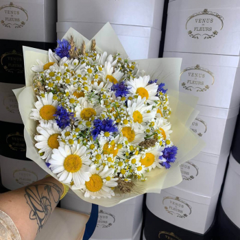 Букет ромашек - 51 шт. Букет ромашек - 51 шт.