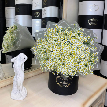 25 кустовых ромашек в букете