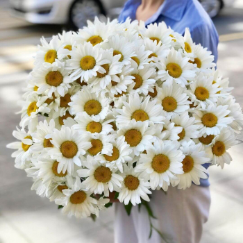 51 крупная ромашка в букете 51 крупная ромашка в букете