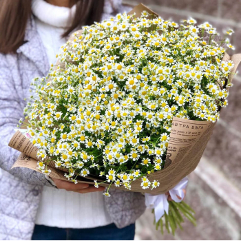 201 кустовая ромашка в букете