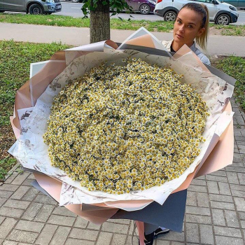401 кустовая ромашка в букете 401 кустовая ромашка в букете